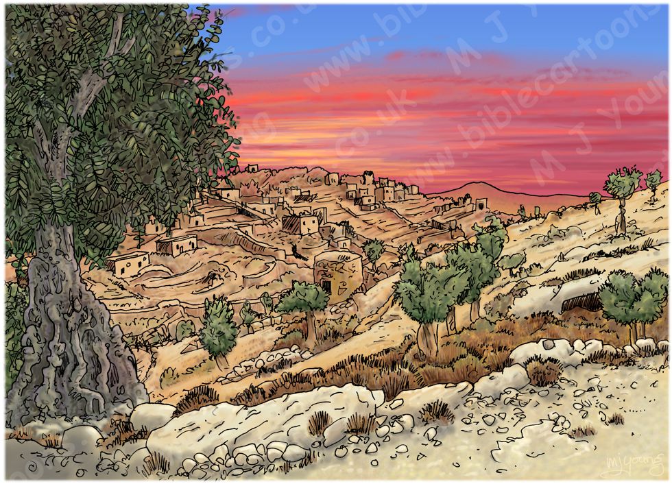 Judges 12 - Ibzan, Israel's ninth judge - Background (with olive tree) 980x706px col.jpg